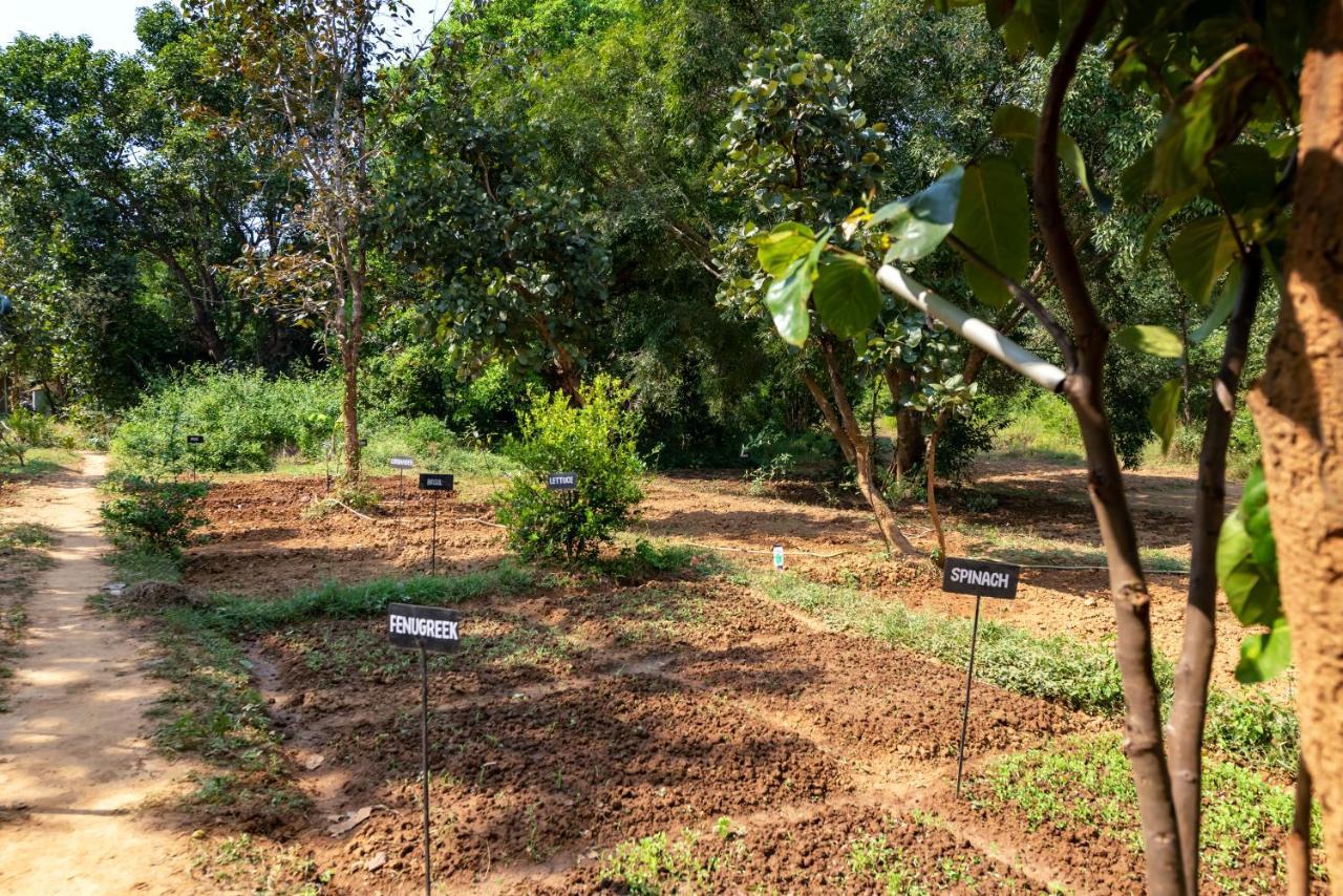 Kanha Jungle Camp Exterior foto